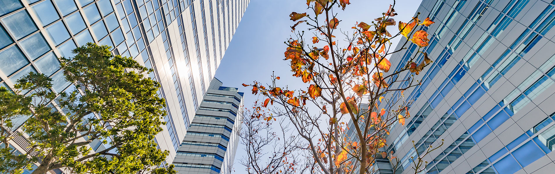 Commercial Contracts